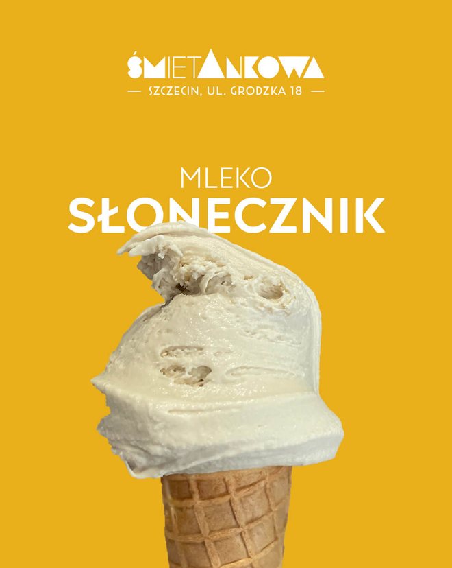 Lody słonecznikowe, lodziarnia śmietAnkowa Szczecin